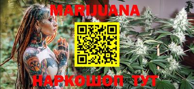 индика Заводоуковск