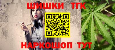 индика Заводоуковск