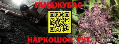 индика Заводоуковск