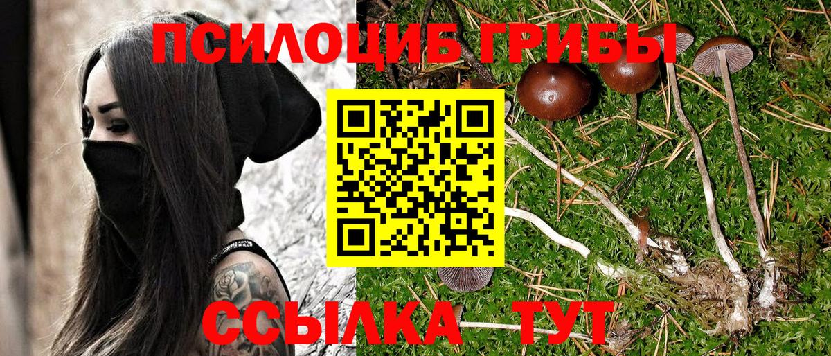 Кудымкар  Псилоцибиновые грибы мухоморы  Вход с VPN  Псилоцибиновые грибы Magic Shrooms 