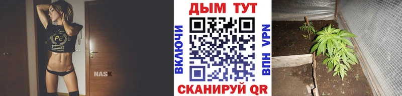 Конопля планчик  kraken вход  Кудымкар 