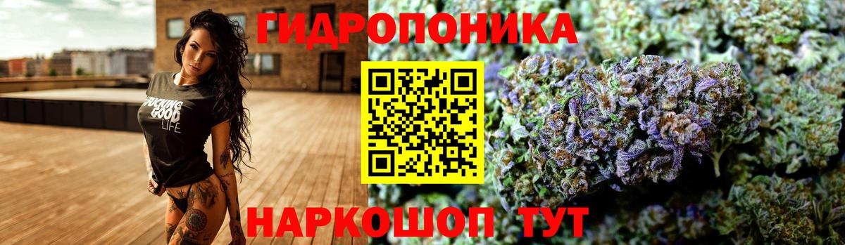 Каннабис гибрид Кудымкар